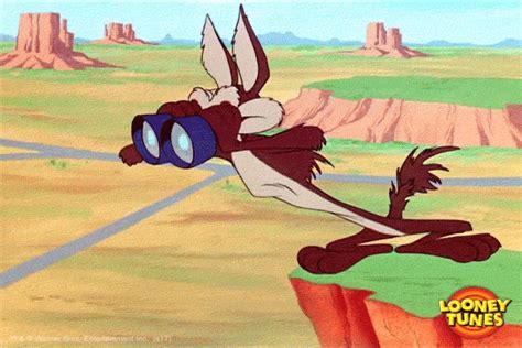 Searching GIFs .